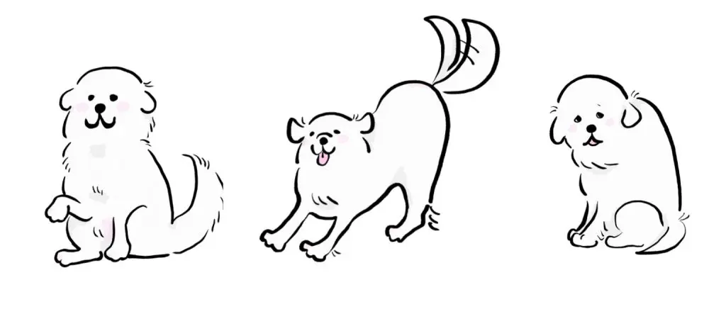 大型犬白い犬イラスト