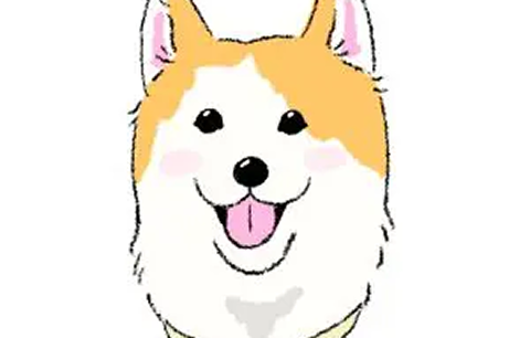 メンバープロフィール顔